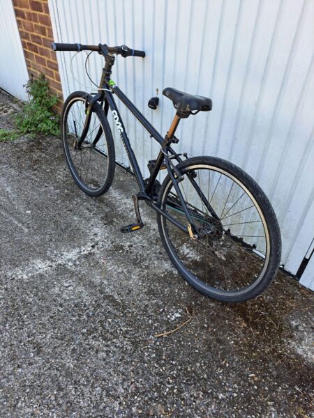 Frog kid bicycle