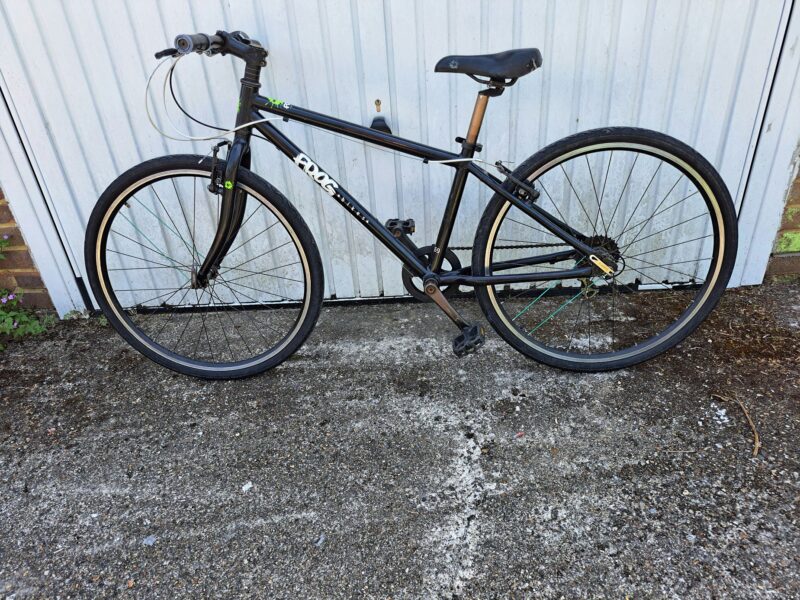 Frog kid bicycle