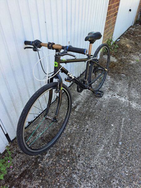 Frog kid bicycle
