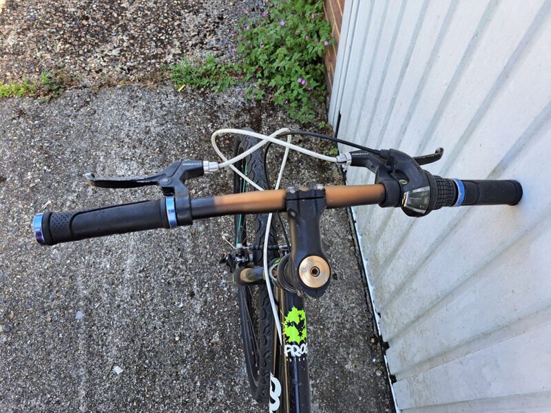 Frog kid bicycle