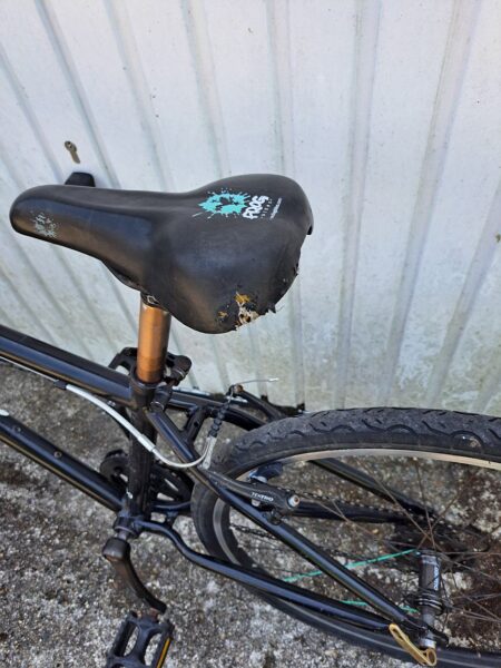 Frog kid bicycle