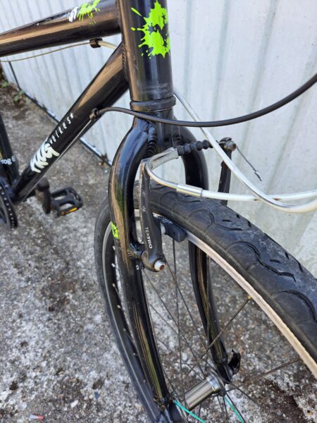 Frog kid bicycle