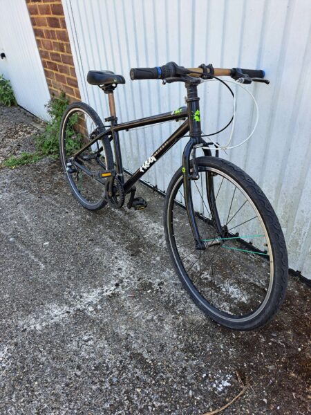 Frog kid bicycle