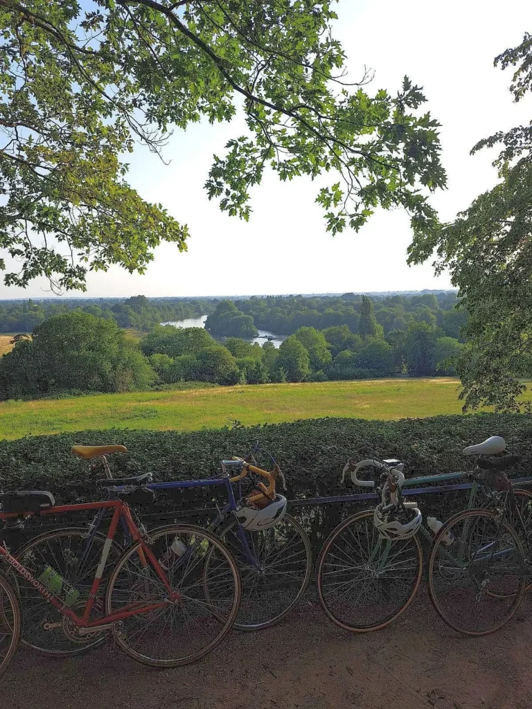 Sunset social cycling group in Richmond hill, view.