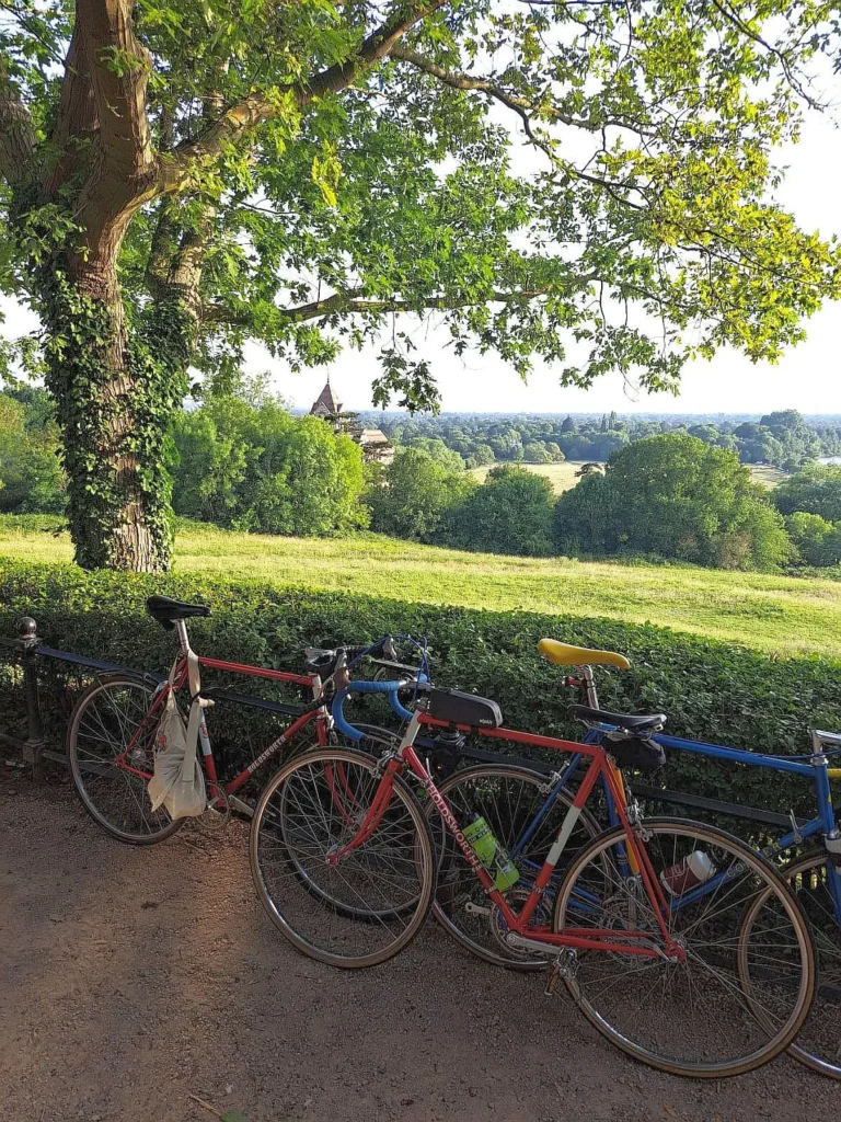 Sunset social cycling group in Richmond hill, vintage bikes.