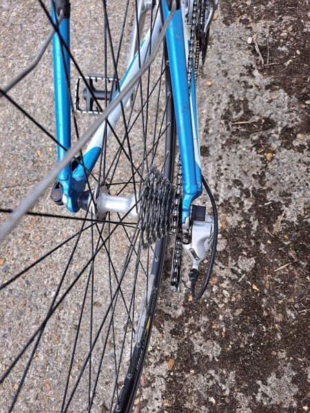 Trek road bike 54" WSD