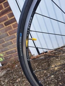 Trek road bike 54" WSD