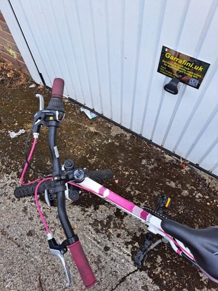 Carrera kids bike